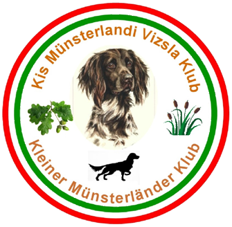 Kis münsterlandi Vizsla Klub