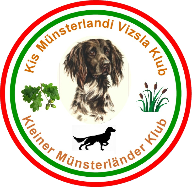 Kis münsterlandi Vizsla Klub